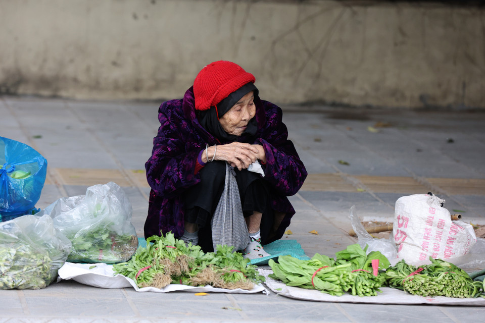 Một số người vẫn phải mưu sinh trong cái rét ‘cắt da cắt thịt.’ (Ảnh: Hoài Nam/Vietnam+)