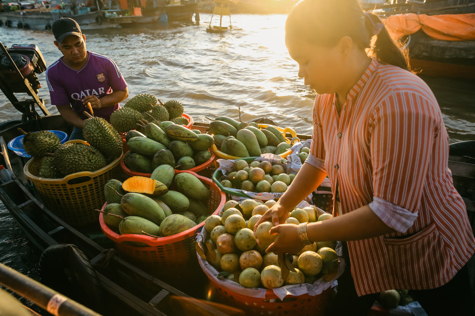 Chợ nổi Cái Răng là chợ đầu mối, nơi chuyên chở nông sản miền Tây đi vào thành phố bằng đường thủy. Thế nên các thương lái thường đến đây và mua bán cả ghe hay bán sỉ. (Ảnh: Minh Sơn/Vietnam+)