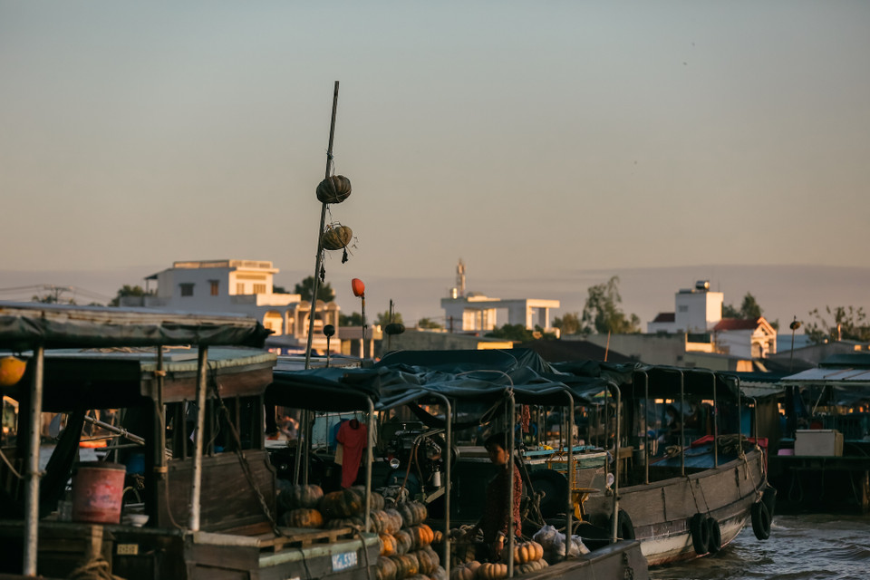 Chỉ cần nhìn loại trái cây hay rau củ nào được treo trên đó là du khách có thể biết được chủ ghe bày bán mặt hàng nào. (Ảnh: Minh Sơn/Vietnam+)