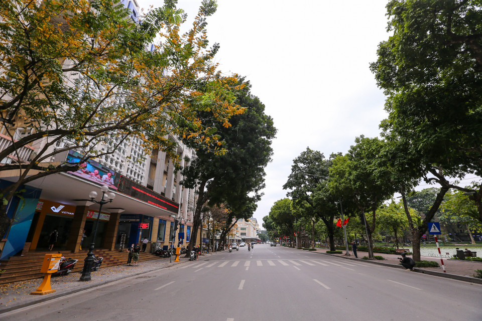 Trưa 10/3, hàng loạt các tuyến phố lớn như Đinh Tiên Hoàng, Cầu Giấy, Chùa Bộc,... đều vắng bóng người qua lại. (Ảnh: Minh Sơn/Vietnam+)