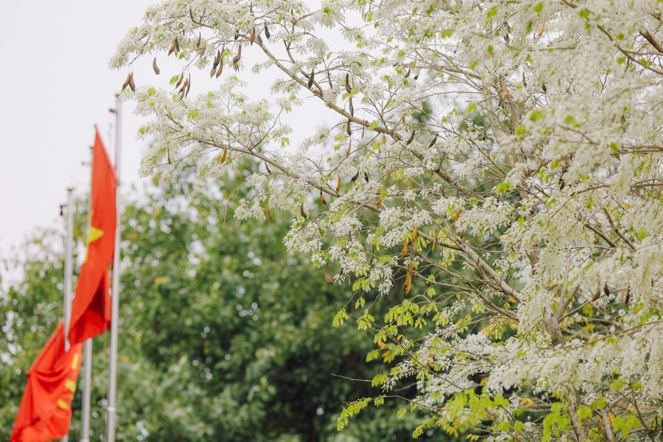 (Ảnh: Minh Sơn/Vietnam+)