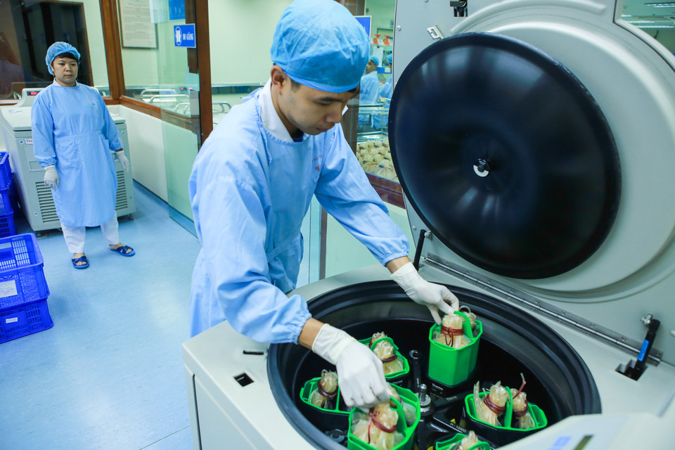 Máu được đưa vào máy li tâm để chiết tách thành các thành phần máu khác nhau như: Hồng cầu, bạch cầu, tiểu cầu, huyết tương. (Ảnh: Minh Sơn/Vietnam+)