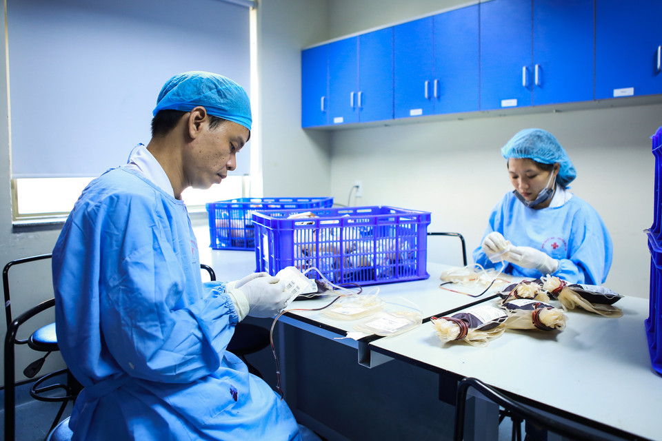 Máu sẽ được tập trung tại khoa điều chế, từ đây máu sẽ được phân loại, tách các thành phần máu từ các túi toàn phần. (Ảnh: Minh Sơn/Vietnam+)