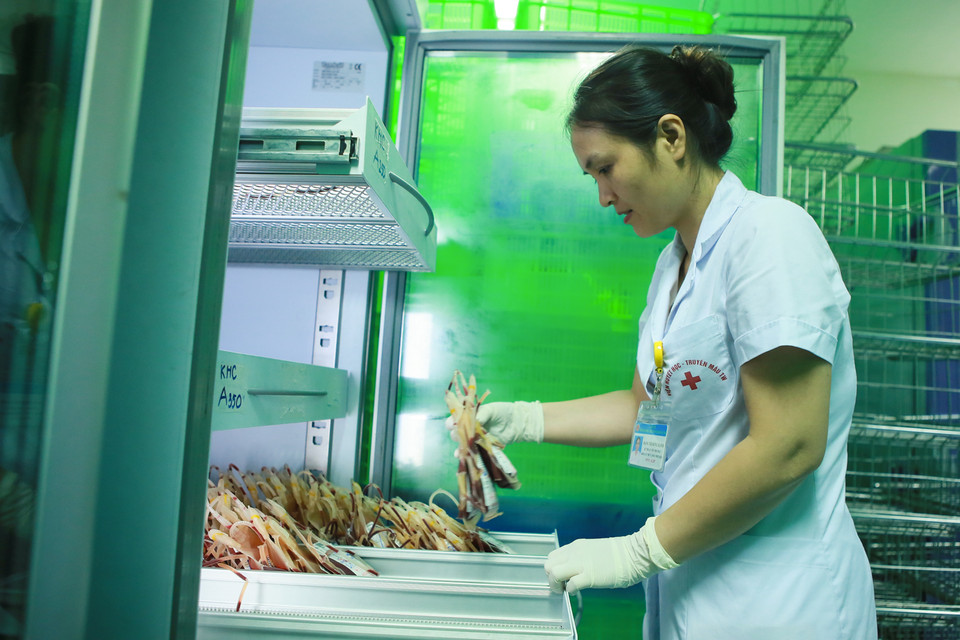 Khi vận chuyển vào kho, máu sẽ được bảo quản trong những dây chuyền lạnh tại Khoa Lưu trữ và phân phối máu của Viện. (Ảnh: Minh Sơn/Vietnam+)