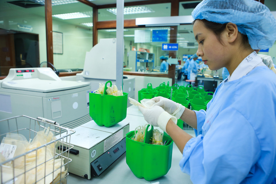 Các đơn bị máu được cân đo trọng lượng trước khi đưa vào máy li tâm. (Ảnh: Minh Sơn/Vietnam+)