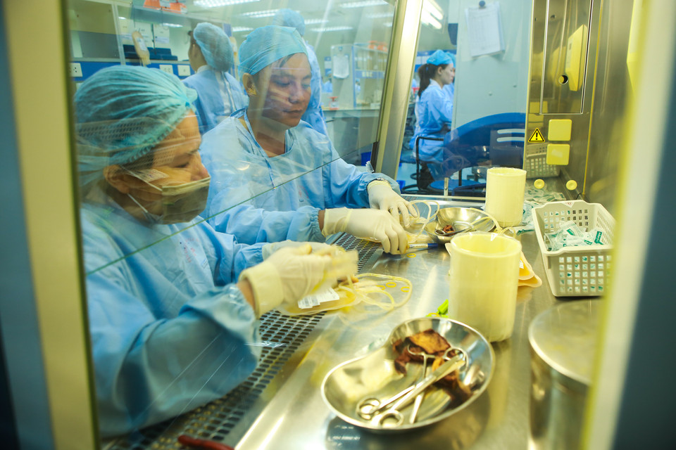 Bộ Y tế quy định bắt buộc sàng lọc với 5 bệnh truyền nhiễm là: HIV, viêm gan B, viêm gan C, giang mai và sốt rét. (Ảnh: Minh Sơn/Vietnam+)