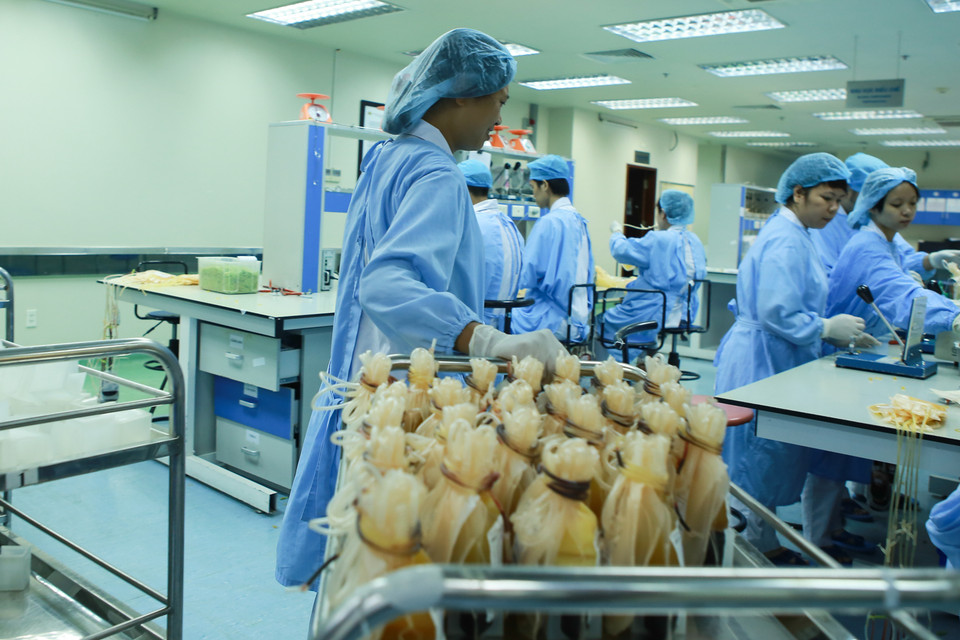 Khoa điều chế phải hoàn toàn vô trùng tránh các tác động bên ngoài ảnh hưởng đến chất lượng máu. (Ảnh: Minh Sơn/Vietnam+)