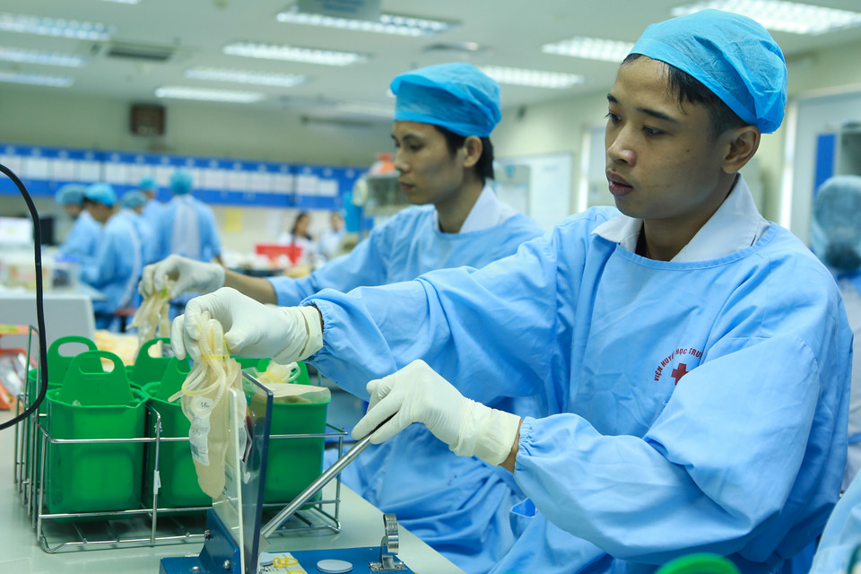 Quy trình ép, tách các khối tiểu cầu ra từ túi máu toàn phần. (Ảnh: Minh Sơn/Vietnam+)