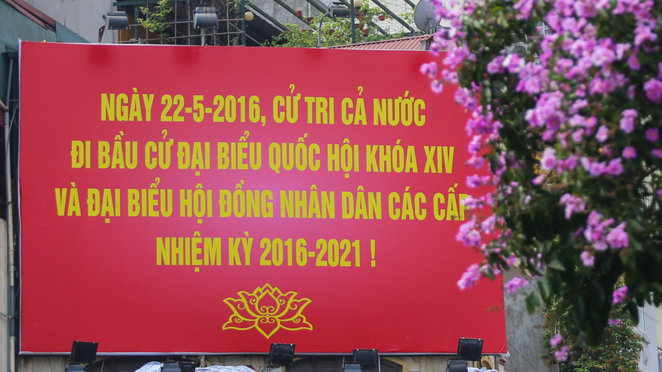Hòa với sắc tím bằng lăng, sắc đỏ hồng của hoa phượng, Hà Nội bỗng như rạo rực hơn, náo nức hơn bình thường. (Ảnh: PV/Vietnam+)