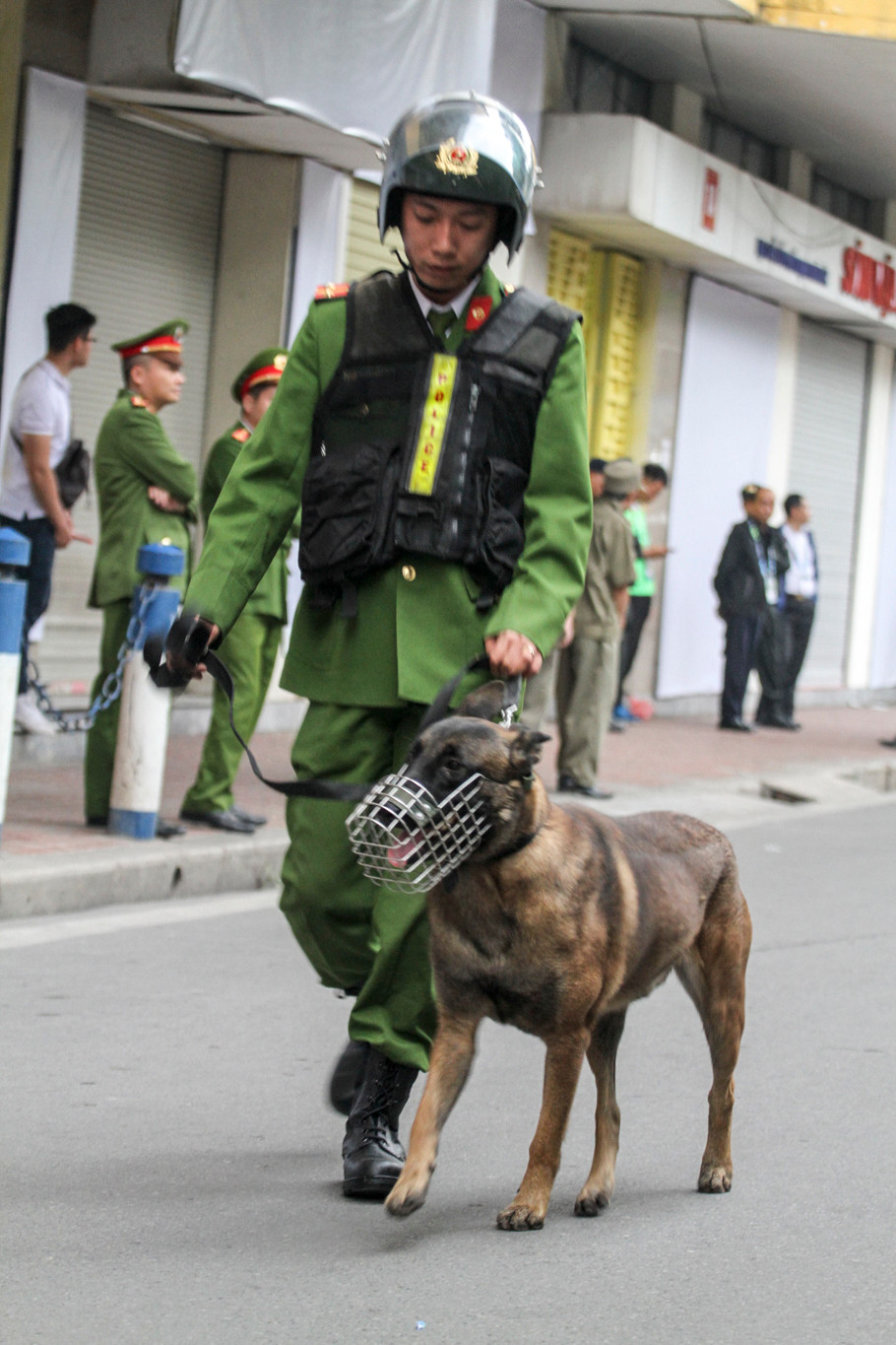 Chó nghiệp vụ cũng được điều động để làm nhiệm vụ khu vực quanh sân. (Ảnh: Minh Sơn/Vietnam+)