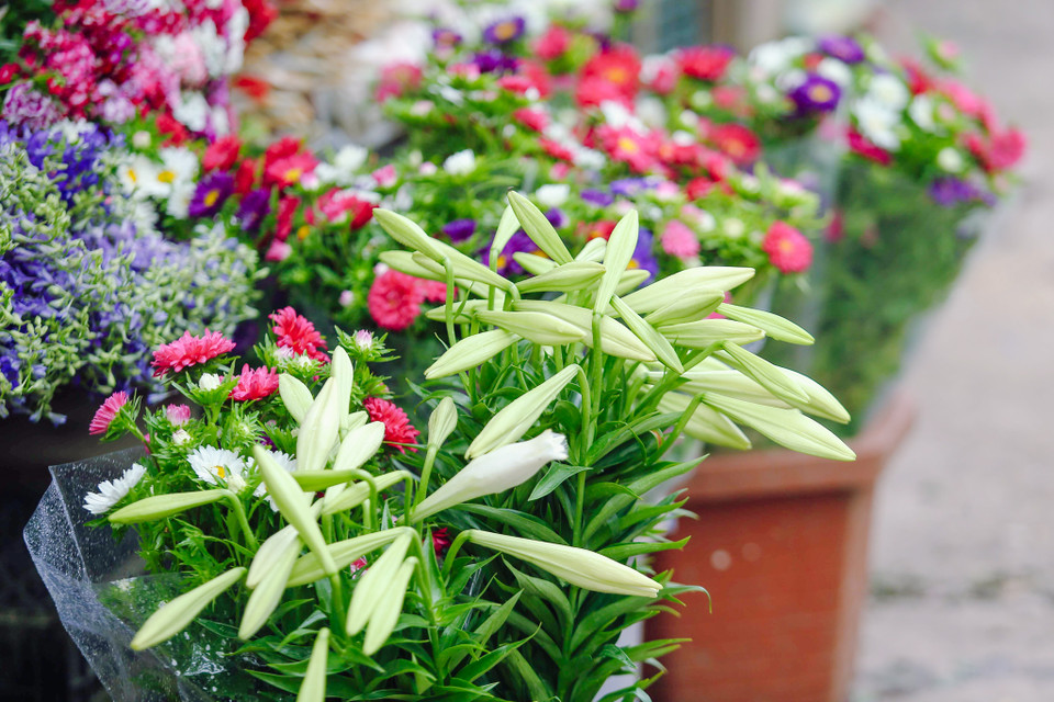 (Ảnh: Thế Đại/Vietnam+)