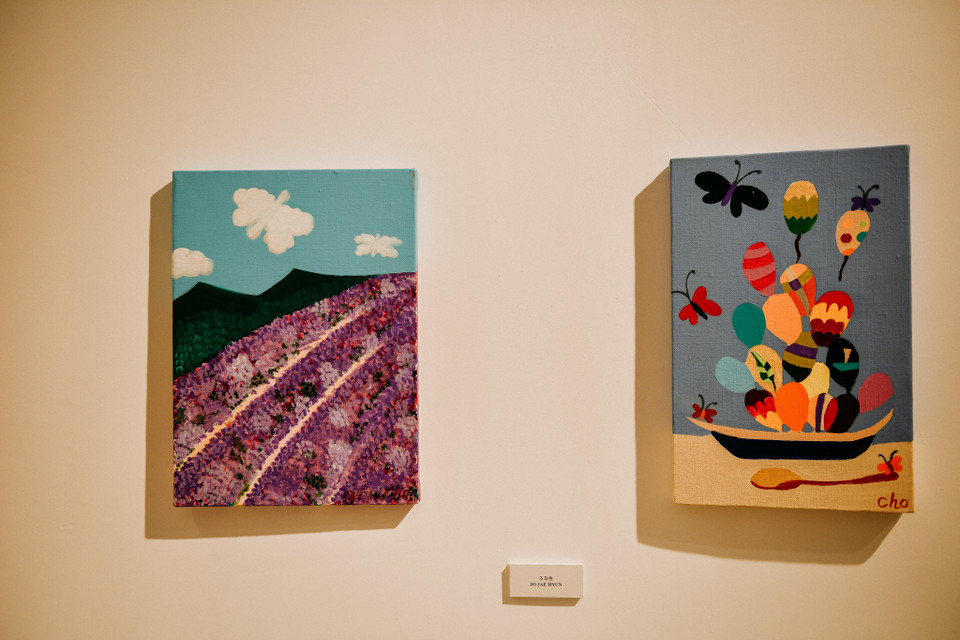 Tại đây gần 1.300 cánh bướm giấy được sắp đặt do trẻ em, thanh thiếu niên khuyết tật trên toàn thế giới thực hiện. (Ảnh: Vietnam+)