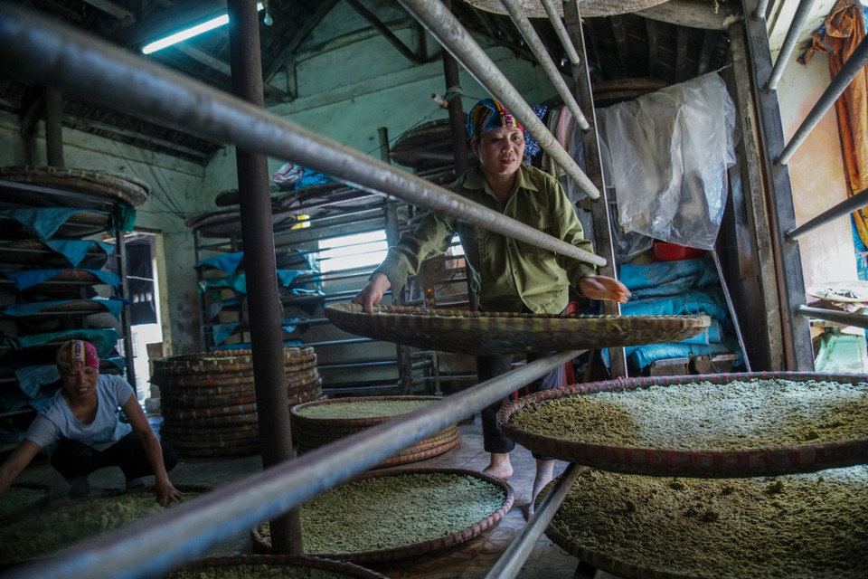 Nguyên liệu làm tương Bần không khó kiếm nhưng công đoạn làm tương cực kỳ công phu và mất thời gian. (Ảnh: Thế Đại/Vietnam+)