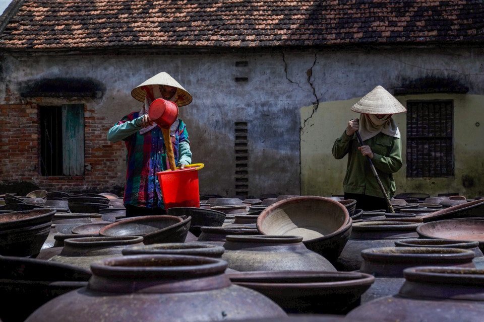 Phơi tương cho tới khi nếm thử thấy nước tương ngọt sánh đậm đà, hạt xôi mềm, màu tương vàng sậm như mầu mật ong là tương đã ngấu. (Ảnh: Thế Đại/Vietnam+)