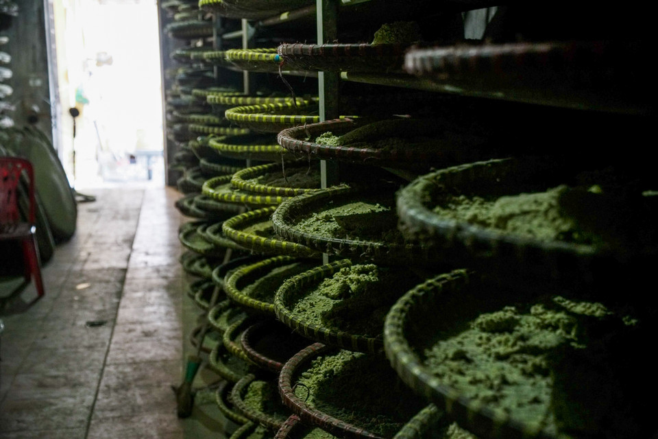 (Ảnh: Thế Đại/Vietnam+)