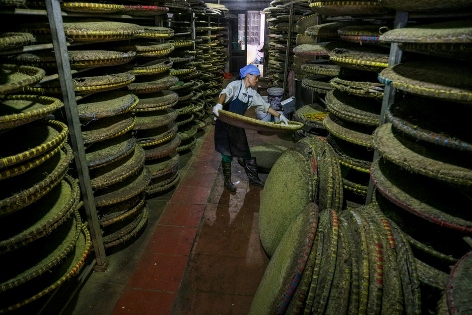 (Ảnh: Thế Đại/Vietnam+)