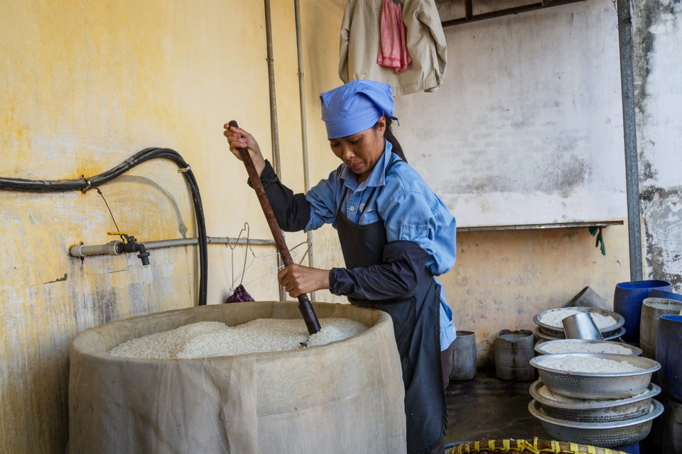 Sau 2 ngày 2 đêm, khi xôi nếp lên mốc thì đem ra xoa đều cho các hạt xôi tơi. Dùng nước đỗ ngâm trong chum sành tưới lên mốc và trộn thật đều rồi để tiếp 1 ngày 1 đêm nữa cho xôi lên mốc vàng. Tiếp đó cho mốc vào chum đỗ đã ngả cùng muối tinh với lượng phù hợp và khuấy đều rồi phơi ngoài trời nắng. (Ảnh: Thế Đại/Vietnam+)