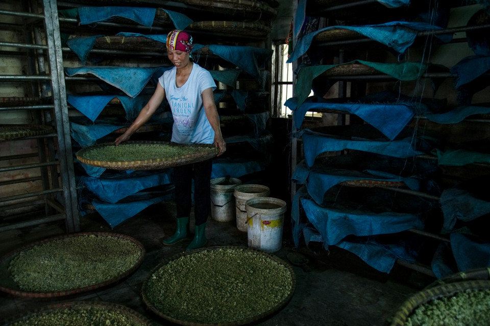 (Ảnh: Thế Đại/Vietnam+)