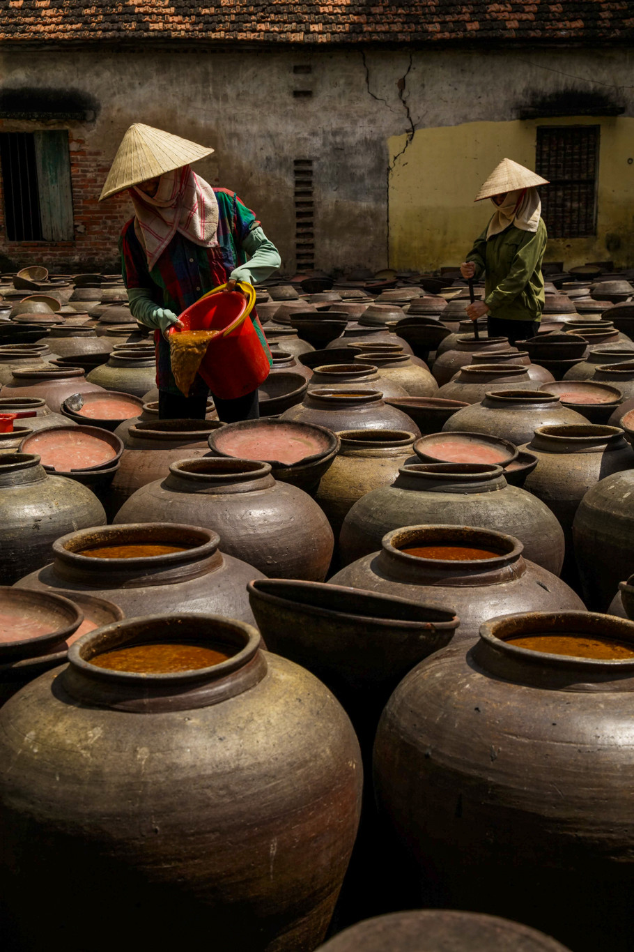(Ảnh: Thế Đại/Vietnam+)