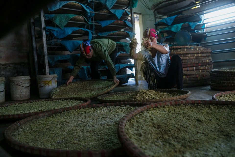 Phải mất ít nhất một đến hai tháng người thợ mới cho ra được một mẻ tương Bần. (Ảnh: Thế Đại/Vietnam+)
