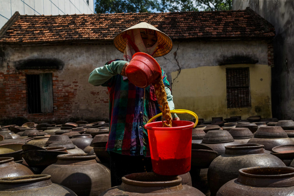 (Ảnh: Thế Đại/Vietnam+)