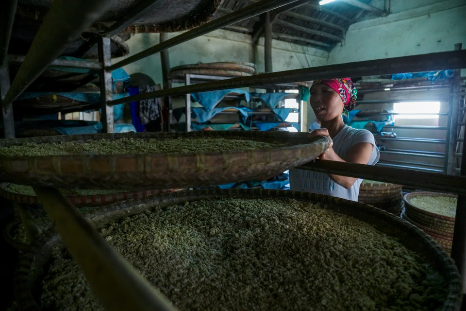 Những bí quyết cùng kinh nghiệm của nghề làm tương bần ở Hưng Yên đến nay vẫn tồn tại và duy trì với cách làm thủ công truyền thống. (Ảnh: Thế Đại/Vietnam+)