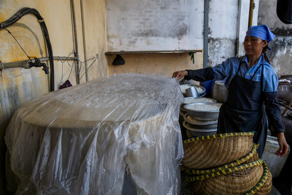 Gạo nếp được đem ngâm rồi nấu chín thành xôi sau xới ra nong, nia và để 2 ngày 2 đêm cho xôi lên mốc vàng. (Ảnh: Thế Đại/Vietnam+)