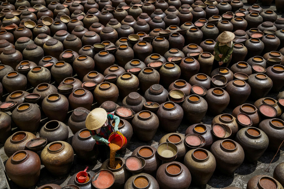 (Ảnh: Thế Đại/Vietnam+)