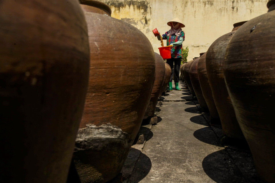 (Ảnh: Thế Đại/Vietnam+)