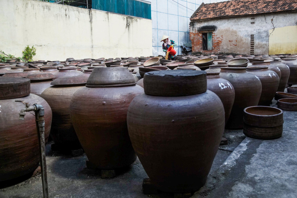 (Ảnh: Thế Đại/Vietnam+)