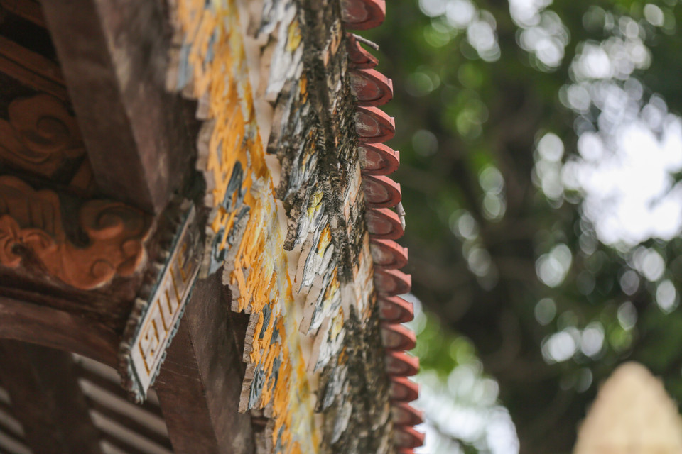  (Ảnh: Minh Sơn/Vietnam+)