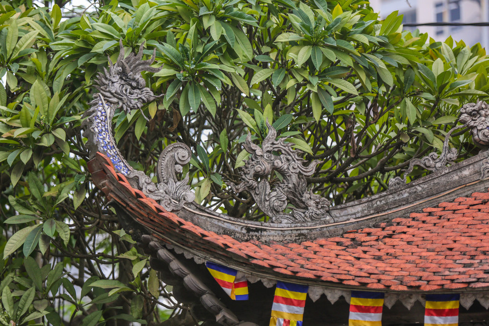  (Ảnh: Minh Sơn/Vietnam+)