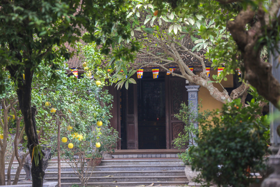  (Ảnh: Minh Sơn/Vietnam+)