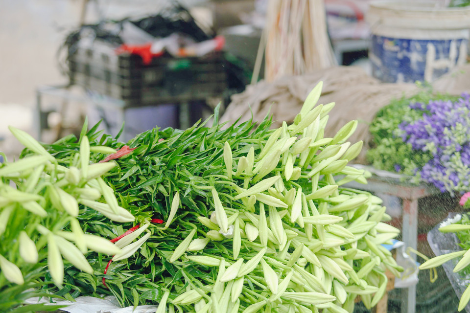 (Ảnh: Thế Đại/Vietnam+)