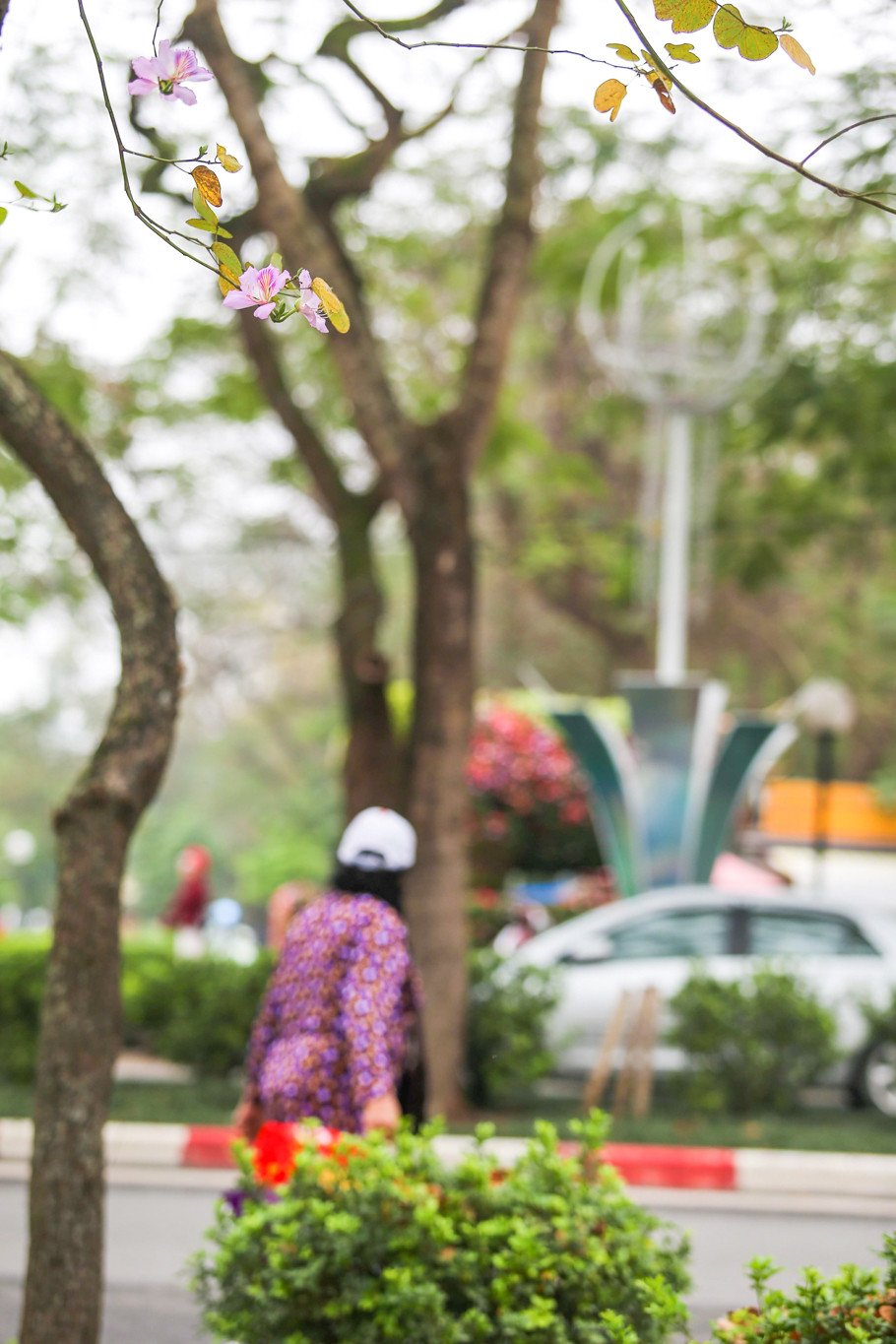 (Ảnh: Thế Đại/Vietnam+)