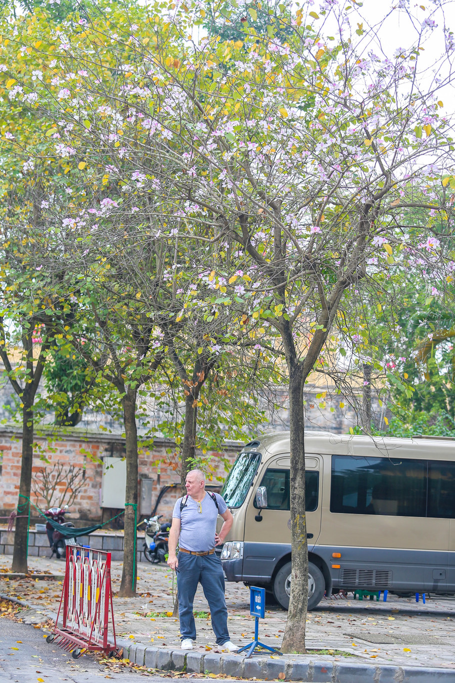 (Ảnh: Thế Đại/Vietnam+)