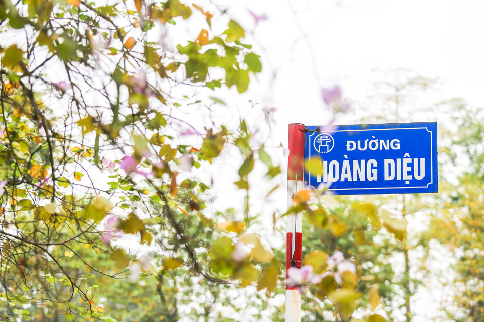 Hương sắc núi rừng bên đường Hoàng Diệu. (Ảnh: Thế Đại/Vietnam+)