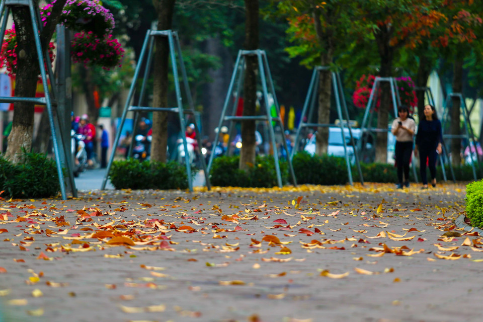 (Ảnh: Thế Đại/Vietnam+)