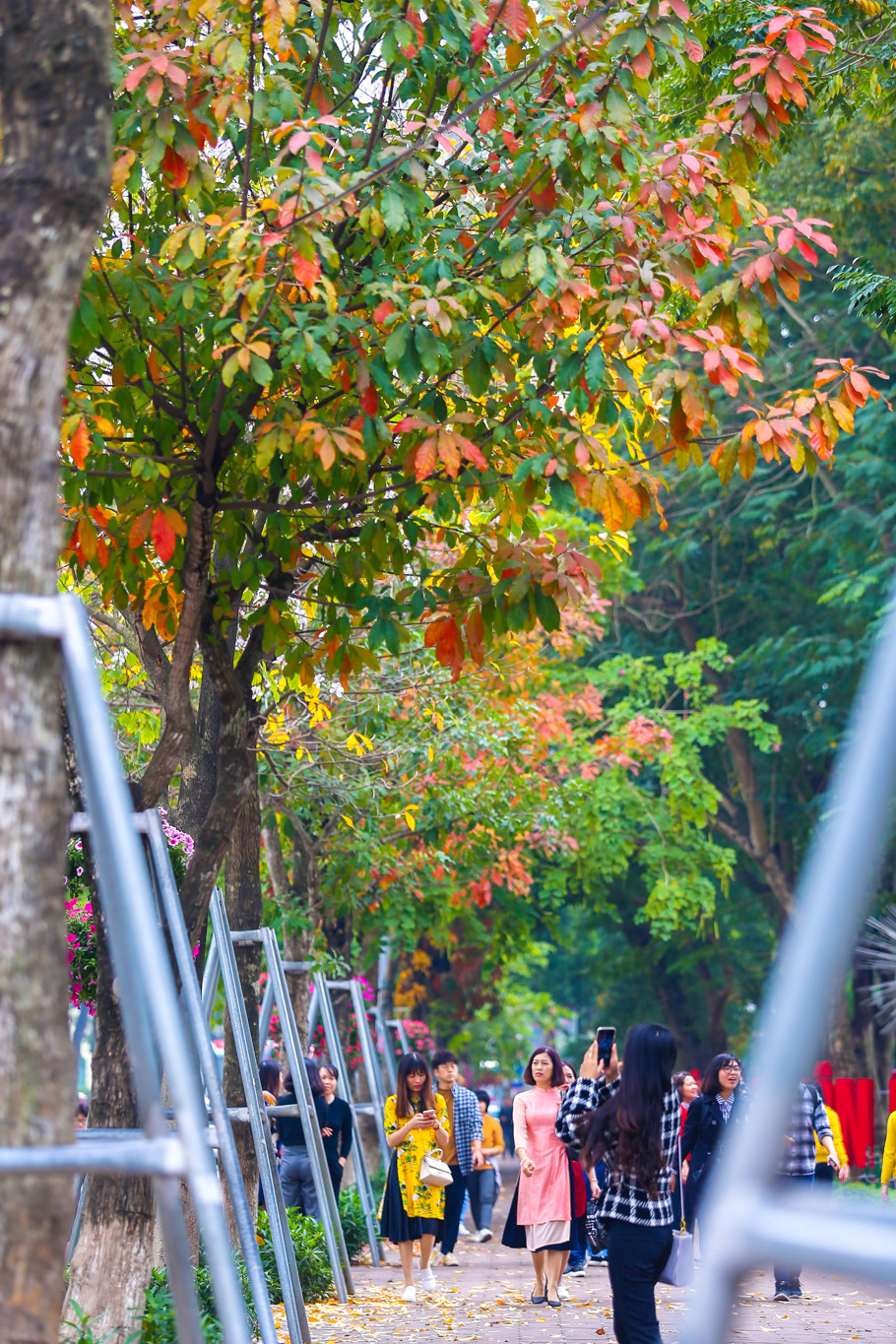 (Ảnh: Thế Đại/Vietnam+)