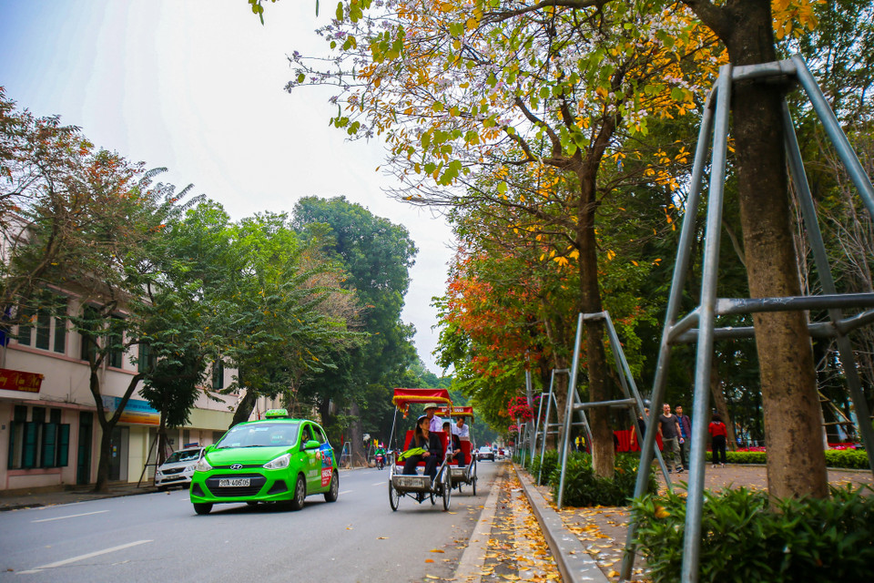 (Ảnh: Thế Đại/Vietnam+)