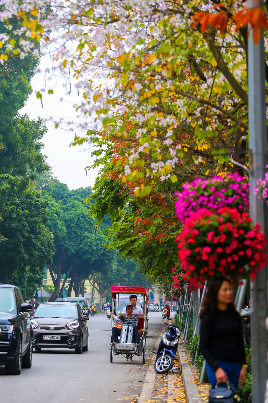 (Ảnh: Thế Đại/Vietnam+)