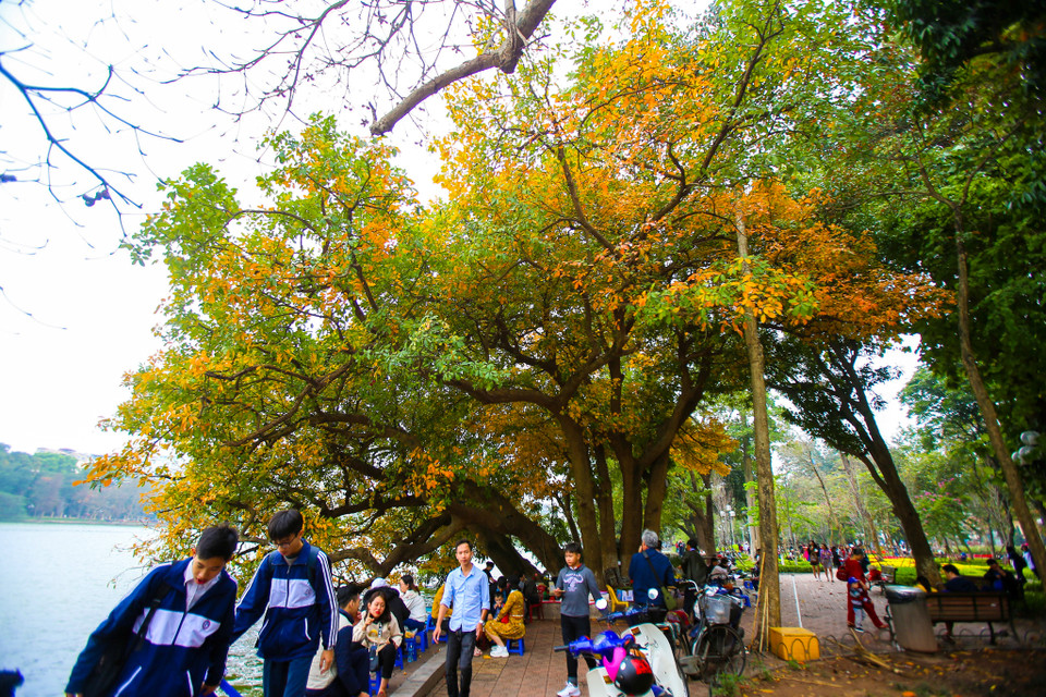 (Ảnh: Thế Đại/Vietnam+)