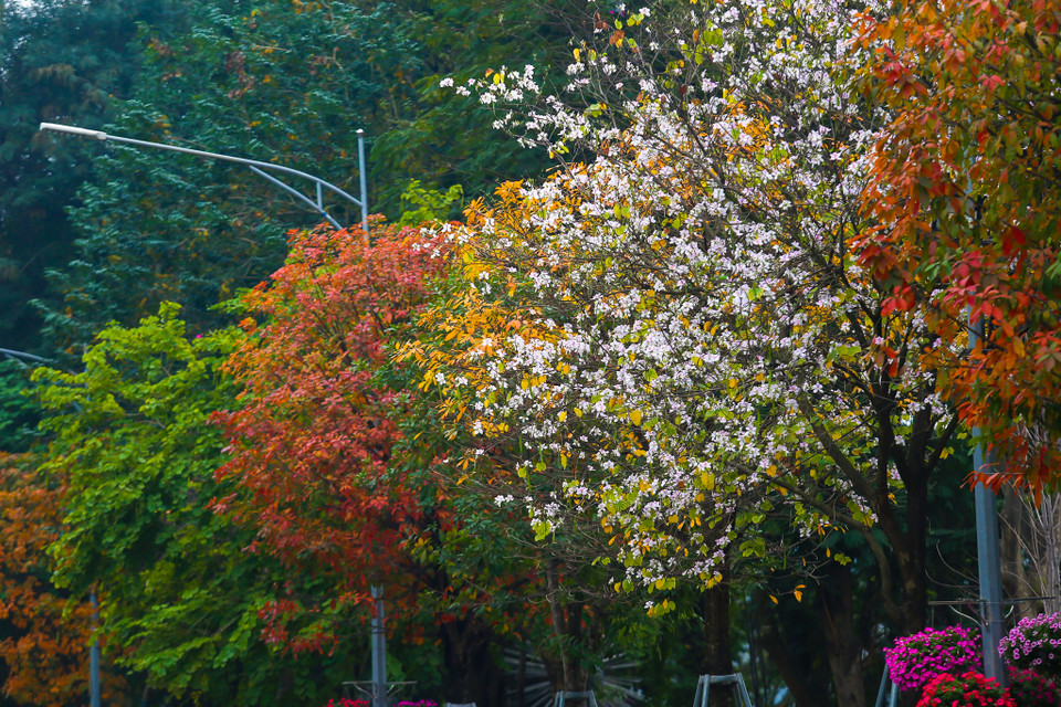 (Ảnh: Thế Đại/Vietnam+)