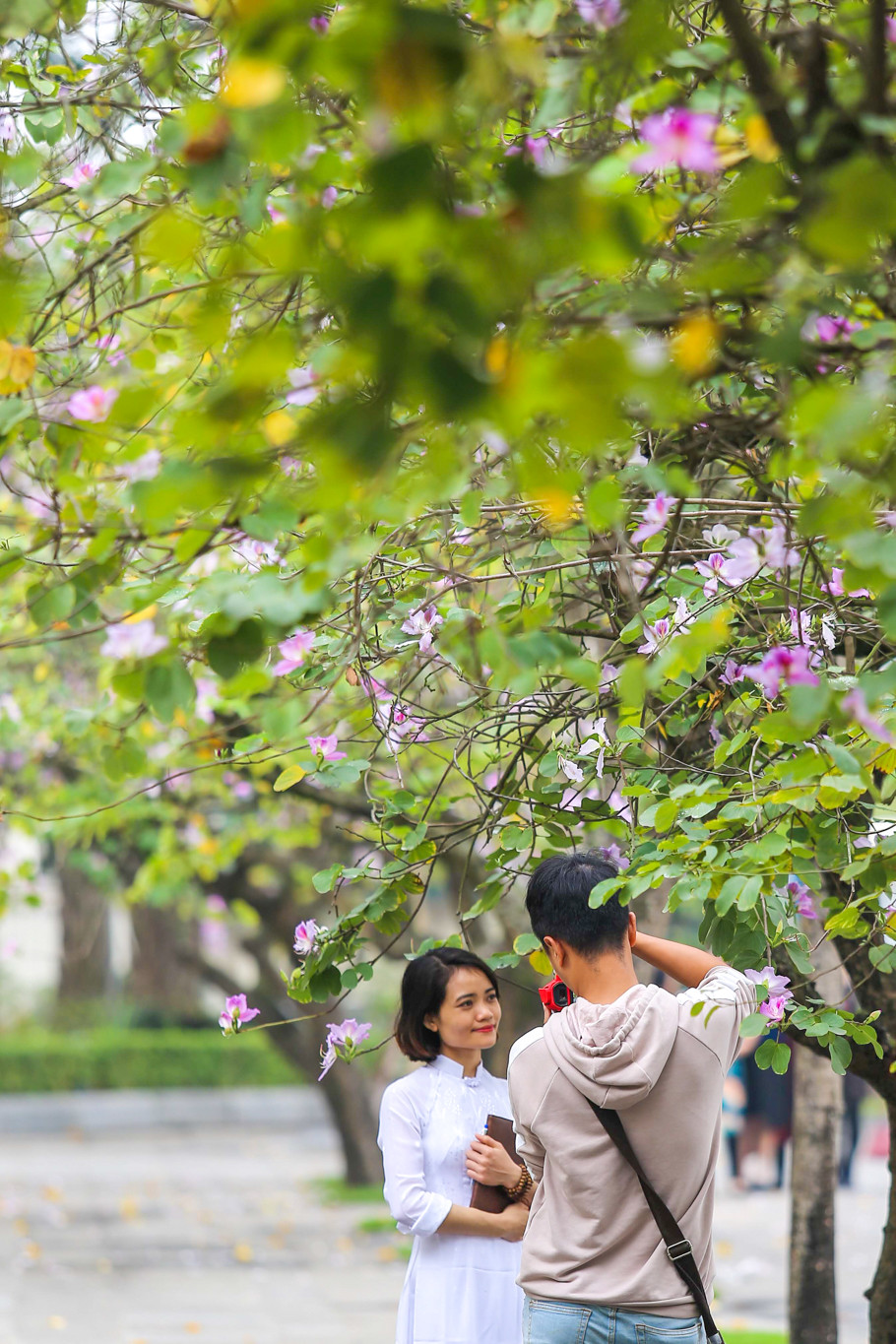 (Ảnh: Thế Đại/Vietnam+)