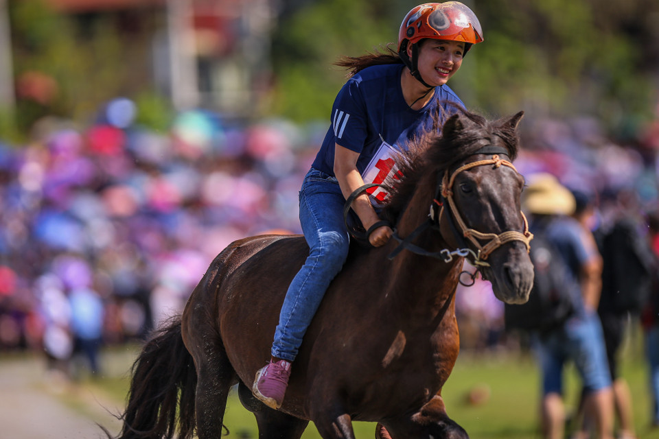 Chị Hoàng Thị Tuyệt ở thôn Tả Hồ (xã Tà Chải, huyện Bắc Hà) cho biết gia đình chị nuôi rất nhiều ngựa, nhưng đa phần vốn chỉ được nuôi để làm sức kéo và phục vụ sản xuất nông nghiệp. Năm nay, chị Tuyệt đã chọn 1 con ngựa đẹp, thuần tính để tham gia đua tài. (Ảnh: PV/Vietnam+)