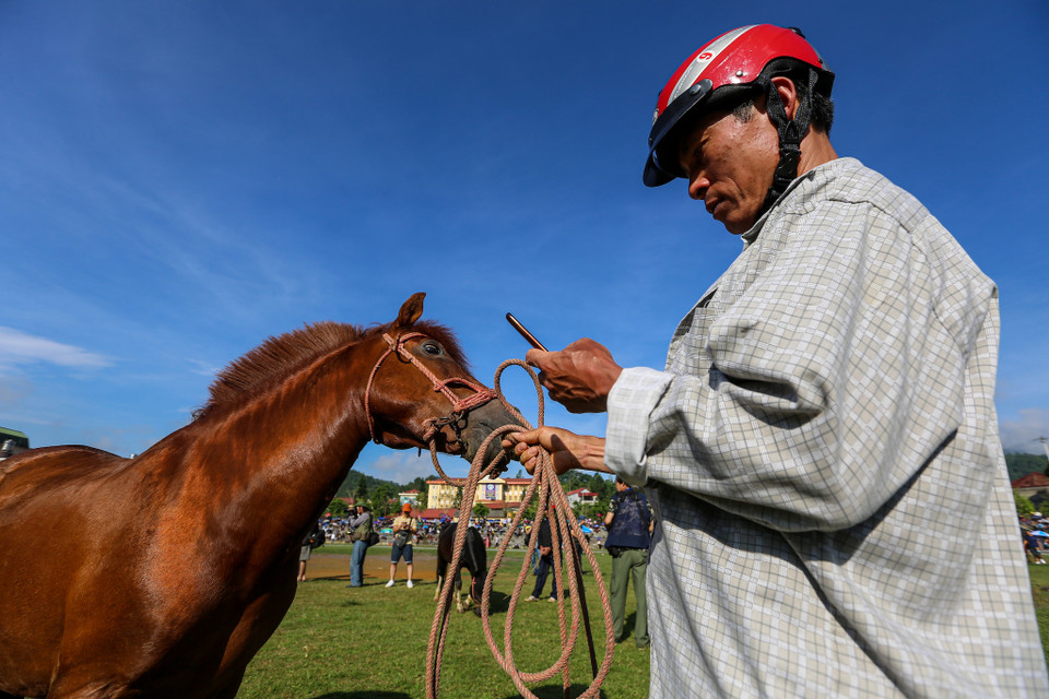 Đua ngựa là hoạt động có từ xa xưa của người dân Bắc Hà. Sau nhiều năm bị mai một thì đến năm 2007 lễ hội đua ngựa truyền thống mới chính thức được khôi phục lại. (Ảnh: PV/Vietnam+)