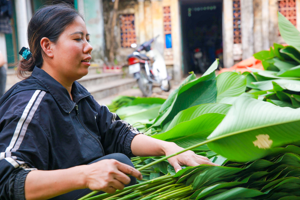 Tràng Cát được coi là 'vựa' lá dong lớn nhất Hà Nội. (Ảnh: Minh Sơn/Vietnam+)