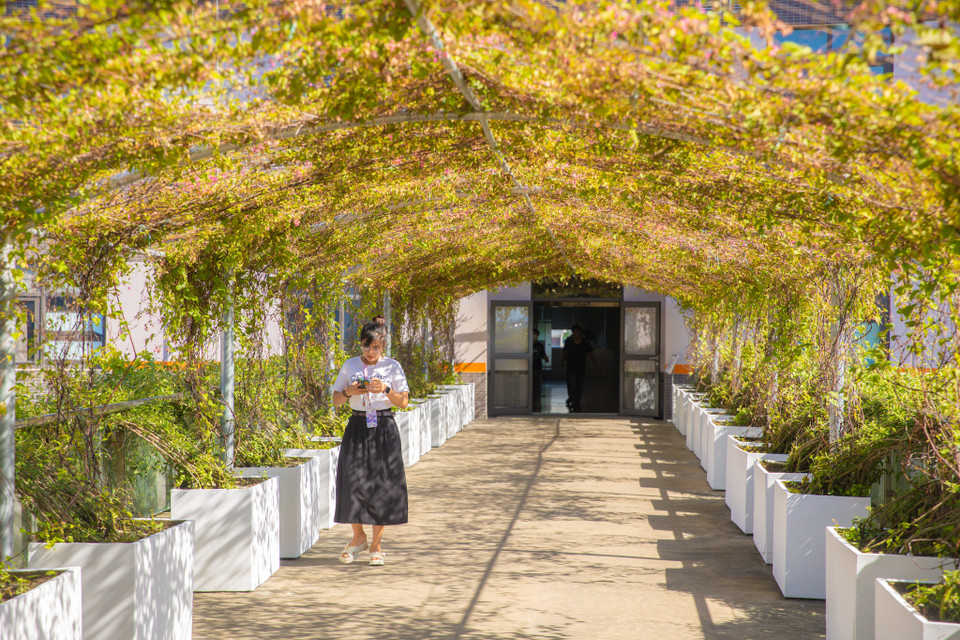 Những cầu thang nối chính là điểm nhấn nổi bật của toàn thể khu phức hợp FPT Complex. Mỗi cầu thang sẽ có một tên gọi riêng với ý nghĩa hướng tới sự phát triển chung của công ty. (Ảnh: Minh Sơn/Vietnam+)