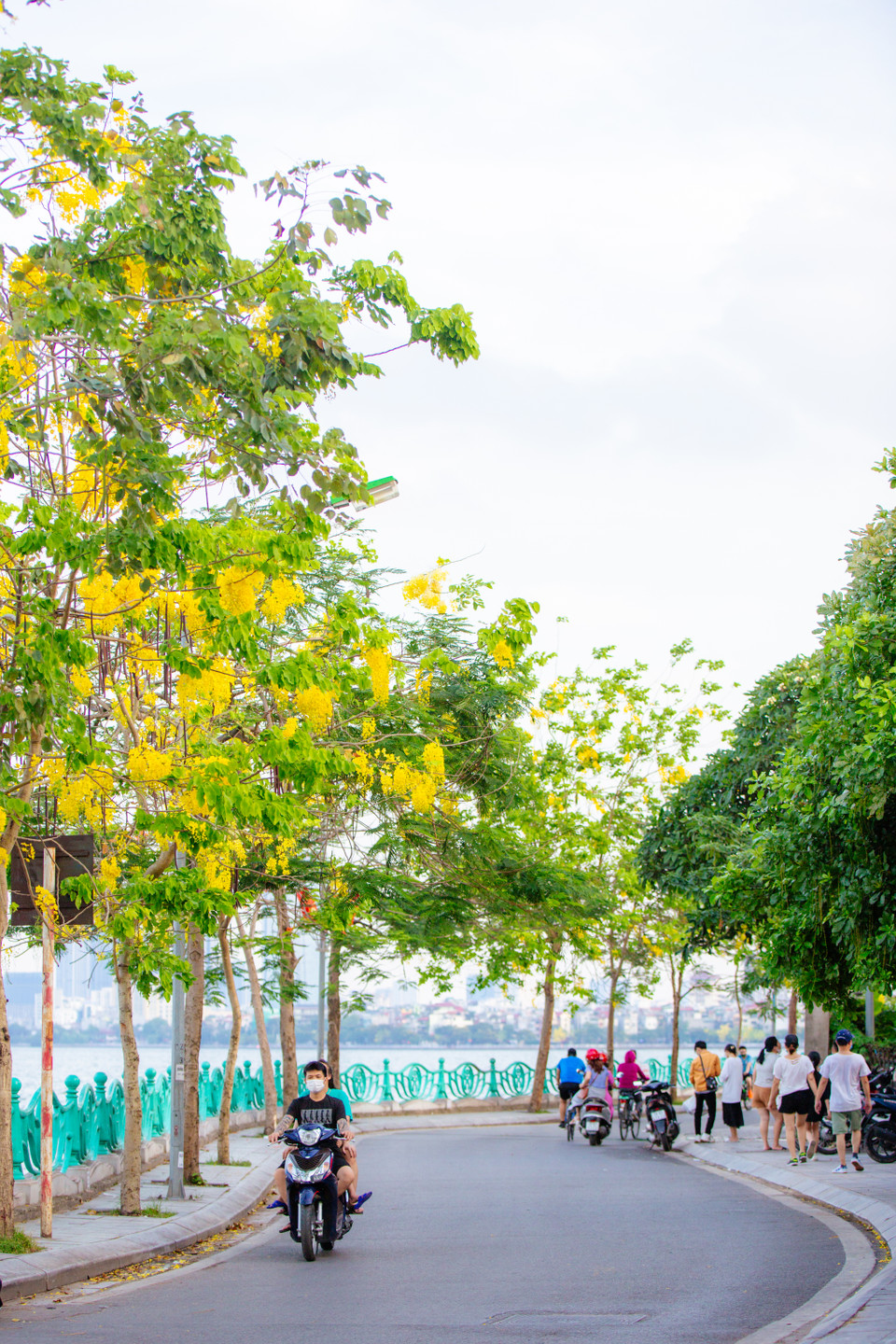 Dù là người dân Hà Nội hay du khách phương xa cũng đều dễ dàng bị loại hoa này cuốn hút. (Ảnh: Minh Sơn/Vietnam+)