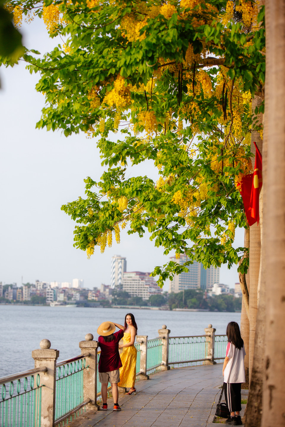 Nhiều người dân Thủ đô tranh thủ dịp này lưu lại những bức ảnh tuyệt đẹp với loài hoa vàng. (Ảnh: Minh Sơn/Vietnam+)